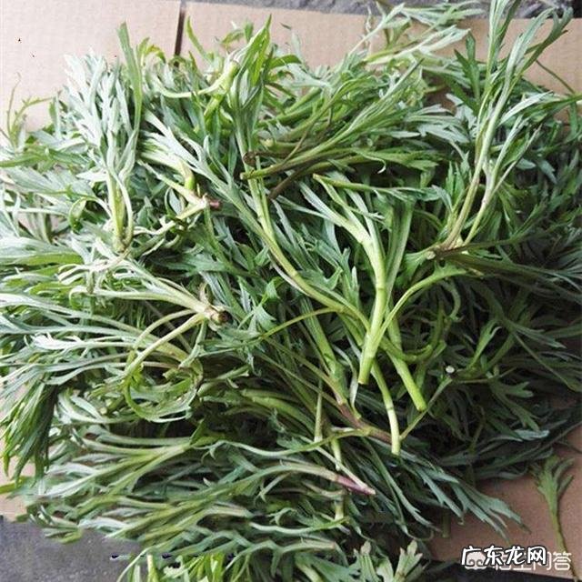 夏天都有哪些应季菜?该怎么做才好吃? 夏天哪些菜比较好吃