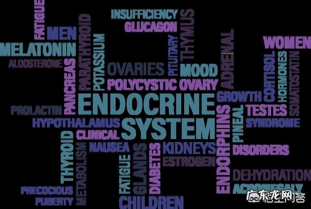 山东的,想学医,小姐姐小哥哥们可以推荐一下医学院吗