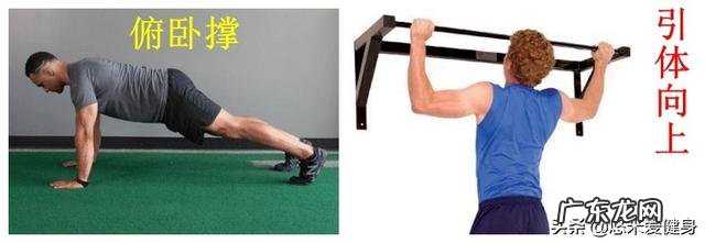 只做俯卧撑和引体向上肚子会变小吗?