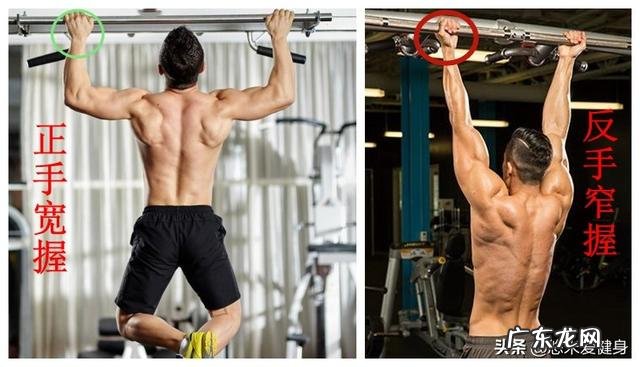 只做俯卧撑和引体向上肚子会变小吗?