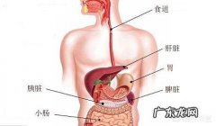 医生：饭后出现4种迹象，十有八九是胃癌，具体指哪四种迹象？