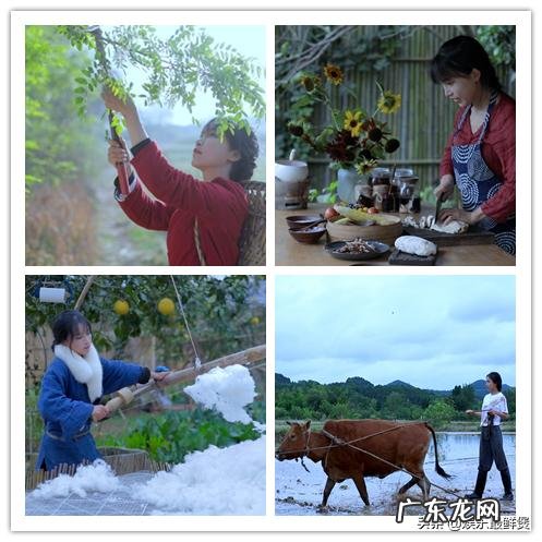 金三角民间武装,比正规军战斗力还强,民间武装的武器从哪里来? 金三角武装实力排名