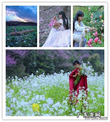 金三角民间武装,比正规军战斗力还强,民间武装的武器从哪里来? 金三角武装实力排名