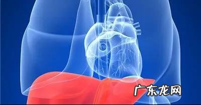 耳朵痒是哪些疾病早期信号?