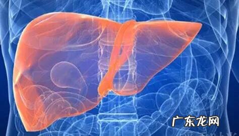 耳朵痒是哪些疾病早期信号?