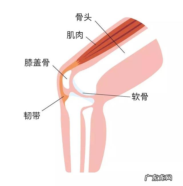 跳绳和跑步哪个伤膝盖,运动时该如何保护膝盖?