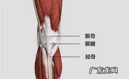 跳绳和跑步哪个伤膝盖,运动时该如何保护膝盖?