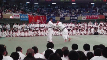 散打，跆拳道，柔道，空手道有什么区别哪个比较实用