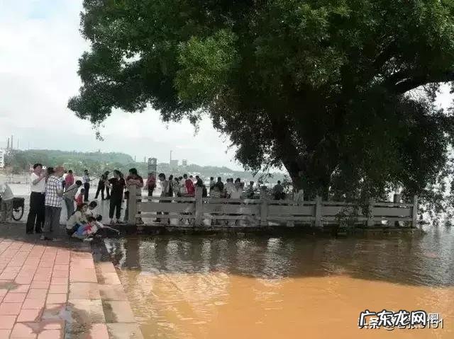 江西赣州的饮食习惯怎么样?