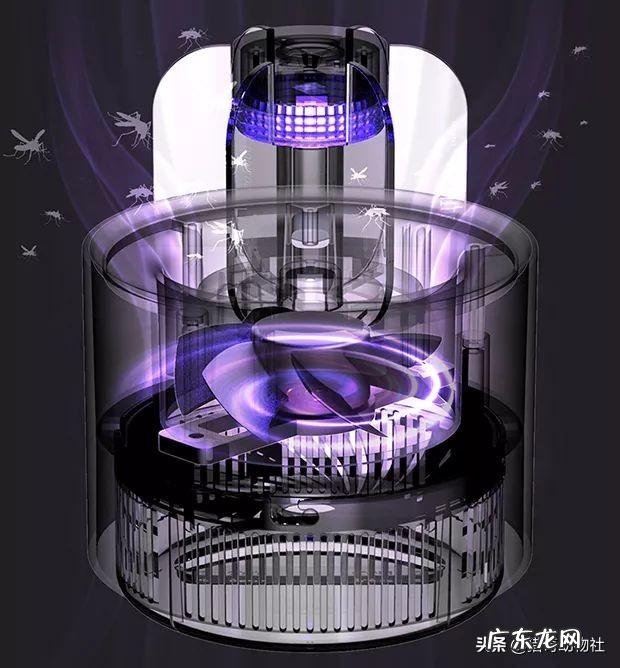 母蚊子爱咬人还是公蚊子爱咬人?