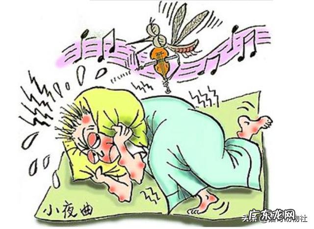 母蚊子爱咬人还是公蚊子爱咬人?