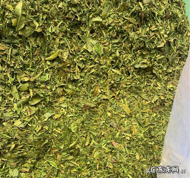 西湖龙井陈茶可以饮用吗？