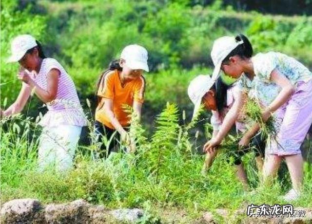 暑期如何对孩子进行教育和管理?