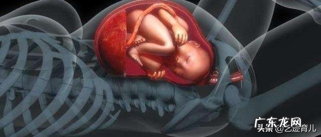 羊水穿刺真的会导致流产吗?为什么?