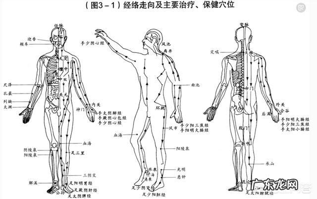 肝郁气滞湿热,怎么调理怎么减肥?