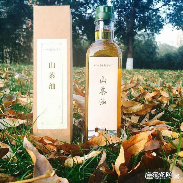 橄榄油就真的比大豆油，花生油健康吗？