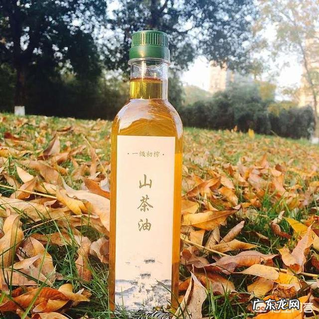 橄榄油就真的比大豆油，花生油健康吗？