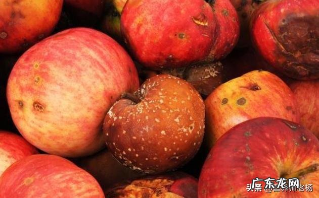 胃癌\＂帮凶\＂是哪些食物？如何科学饮食才能养胃？