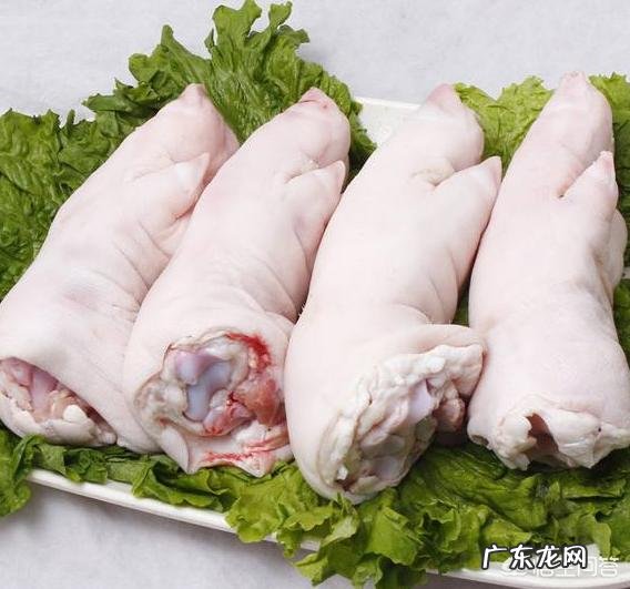 胶原蛋白的养颜功效?如何从食物中获取胶原蛋白?