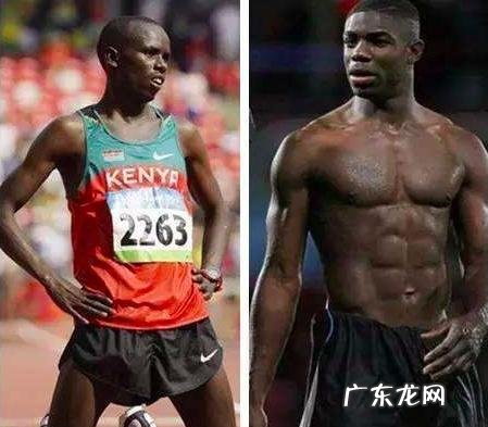 什么是快肌纤维和慢肌纤维,各有什么特点