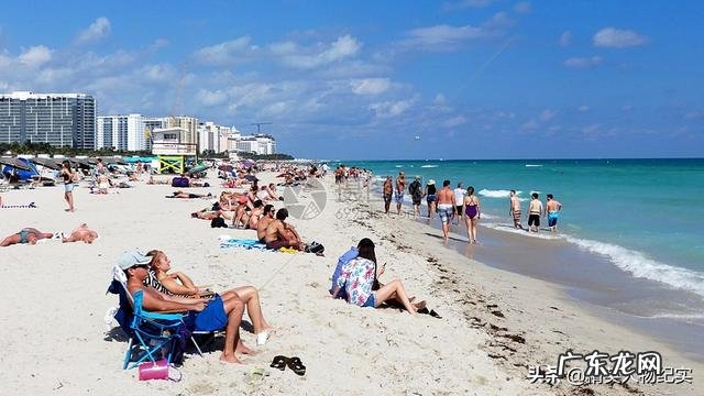 为什么美国政zhi家少,政客多?