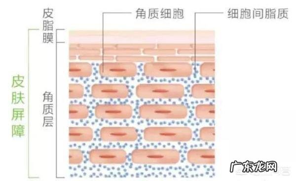 一个月用一次足膜会伤皮肤吗?有哪些需要注意的问题?
