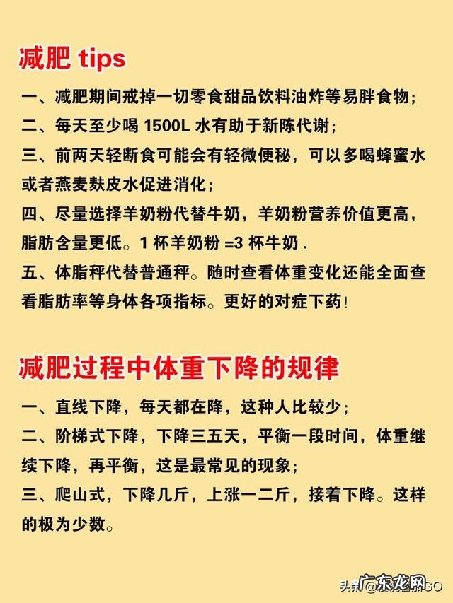 轻断食是否科学?有无可操作性?