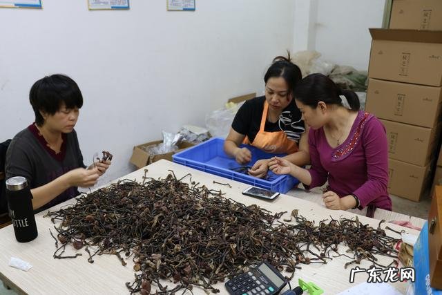 鸡血藤和绞股蓝灵芝在一起能减肥吗?