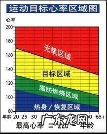 动感单车和跑步机相比,哪个器械运动减肥会更快?