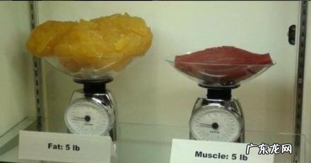 控制饮食和减少吃的摄入量，可以减肥吗？