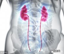 医生说，上厕所时，常做一个动作，肾功能越来越强！指的是哪个？