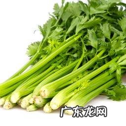 我们常吃的蔬菜如何保鲜?