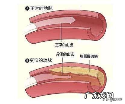 西药对于身体的伤害可以调节好吗