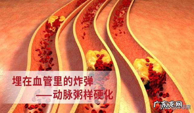 西药对于身体的伤害可以调节好吗