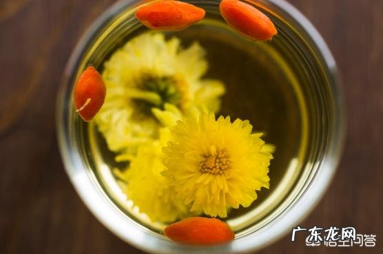 血管堵住了,身体会发出4种“求救信号”,是指什么