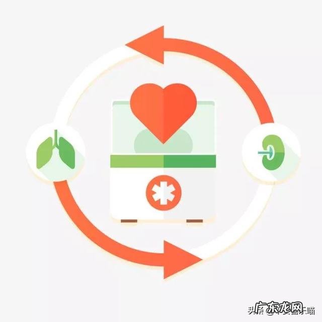 血管堵住了,身体会发出4种“求救信号”,是指什么