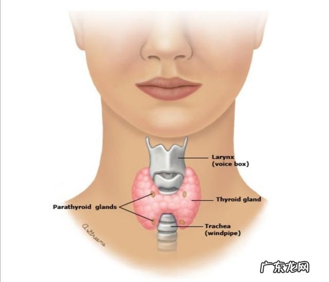 甲亢对生活的影响有哪些?