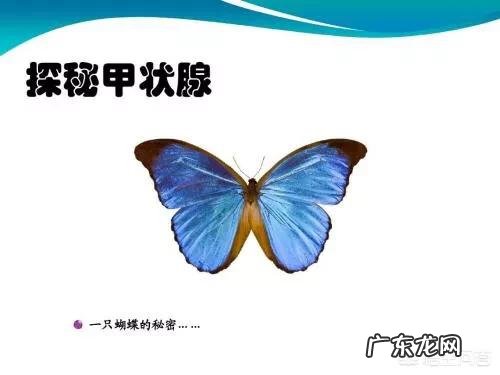 甲亢对生活的影响有哪些?