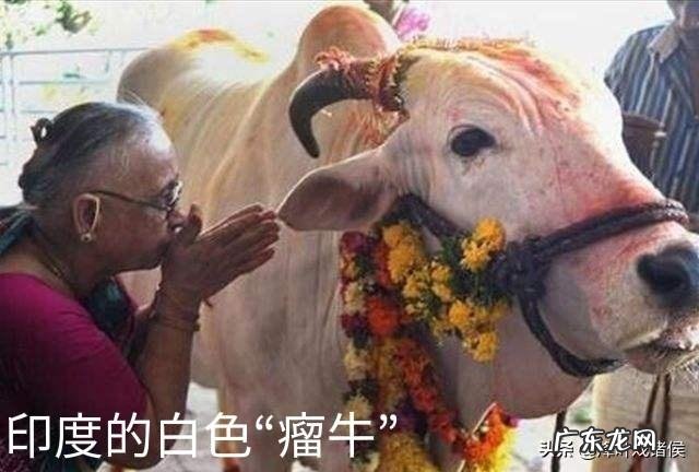 印度人经常用头顶东西,他们容易得颈椎病吗?