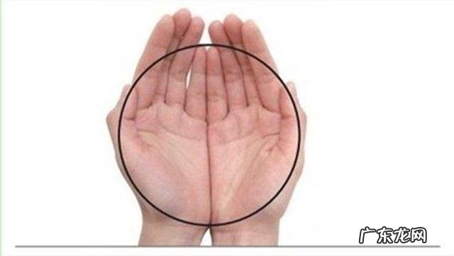 认真减肥但是瘦不下来是怎样一种体验?