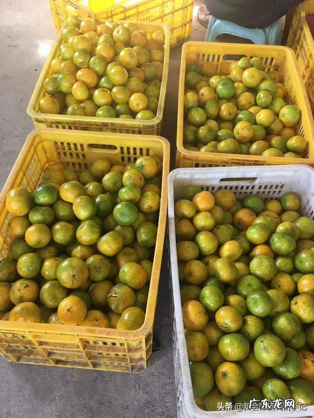 滇红茶颜色越鲜艳越好吗?为什么?