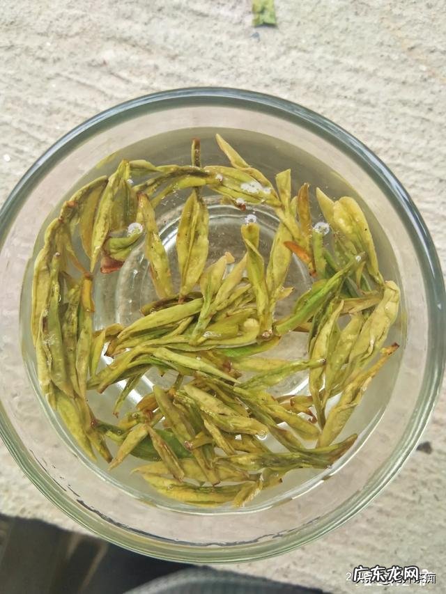 肠胃不好，平时该怎么喝茶？绿茶不能喝吗？