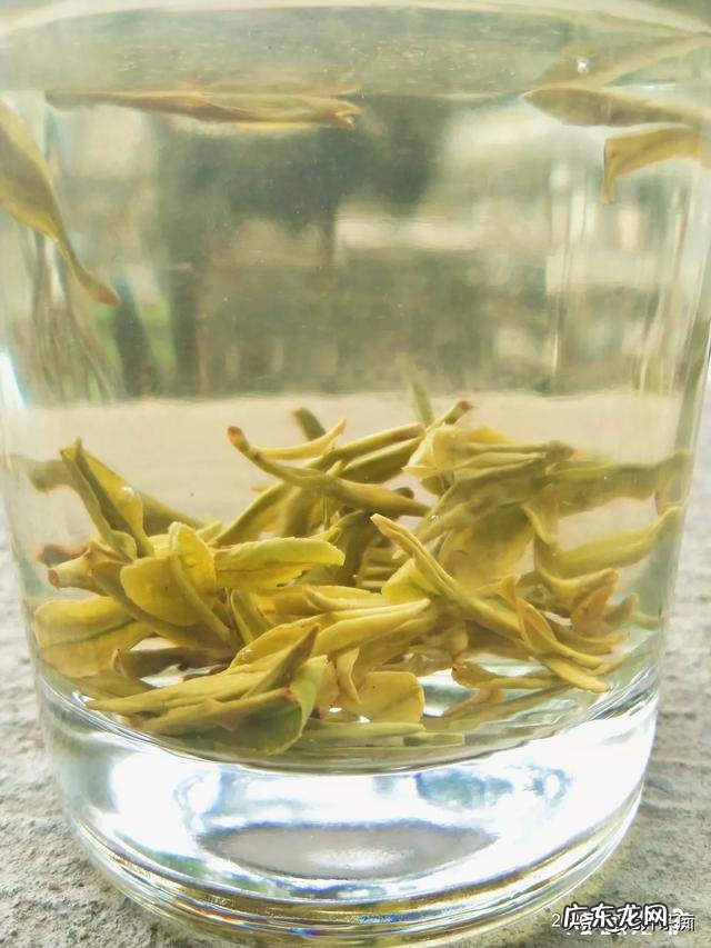 肠胃不好，平时该怎么喝茶？绿茶不能喝吗？