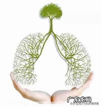 肺结核病吃药期间应该注意什么? 出国留学肺结核检查前要注意什么