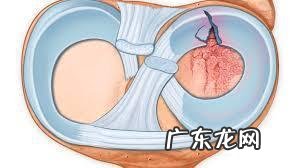 跑步久了膝盖疼怎么回事?