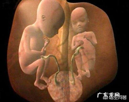 35周了,两个胎儿差距太大胎儿偏小的胎动频繁怎么回事?