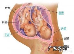 35周了，两个胎儿差距太大胎儿偏小的胎动频繁怎么回事？