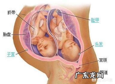 35周了,两个胎儿差距太大胎儿偏小的胎动频繁怎么回事?