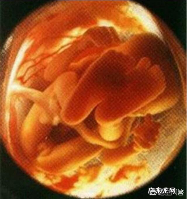 一般引产后多久可以再怀孕? 引产一次后多久可以再怀孕