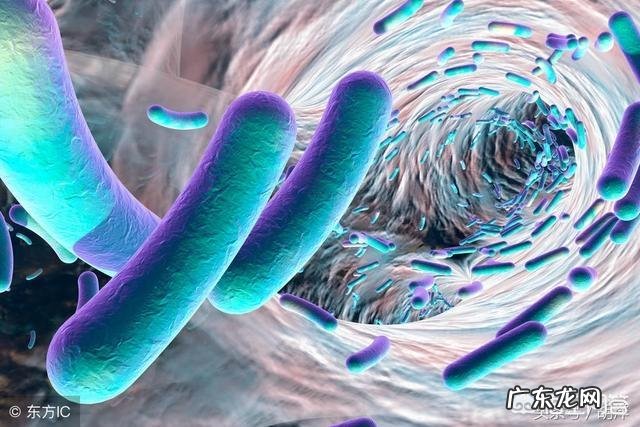 化疗后白细胞低,该如何改善